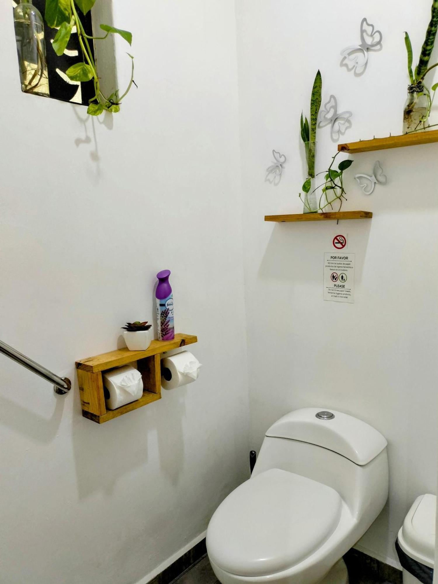 Teki-Sha Home&Suites Bacalar Kültér fotó
